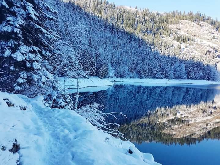 Village Borje Žabljak Buitenkant foto